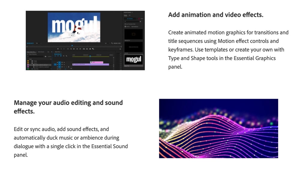 Adobe Premiere Pro features