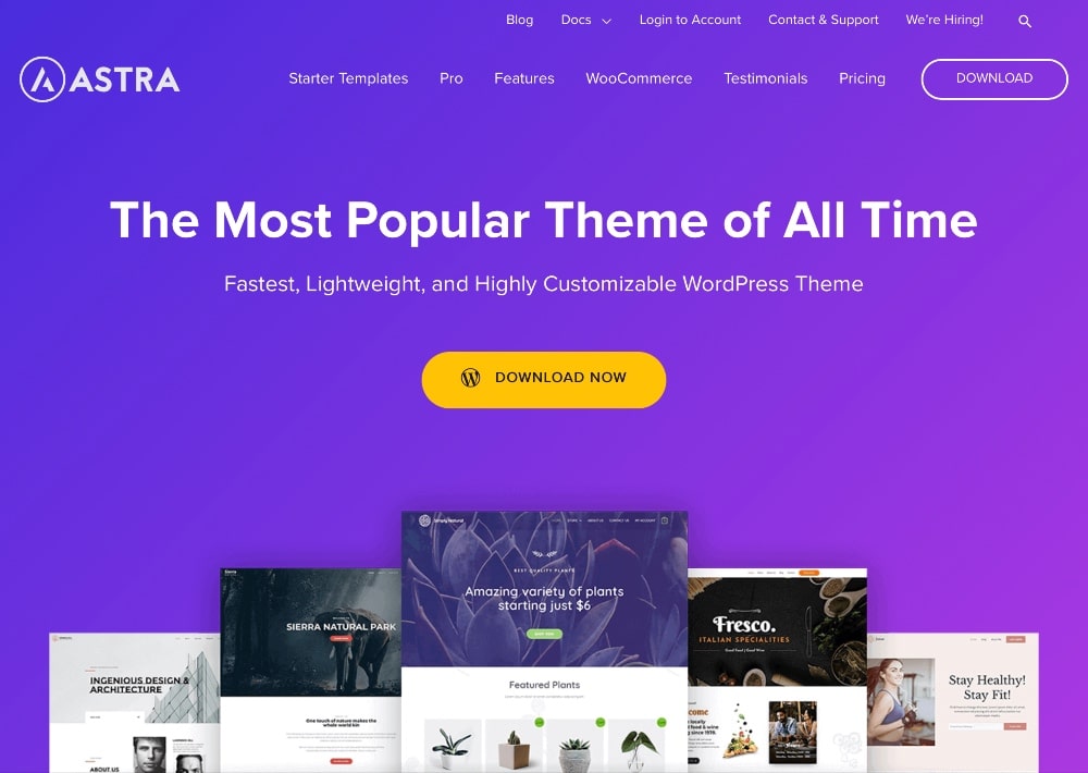 Screenshot of Astra WordPress theme