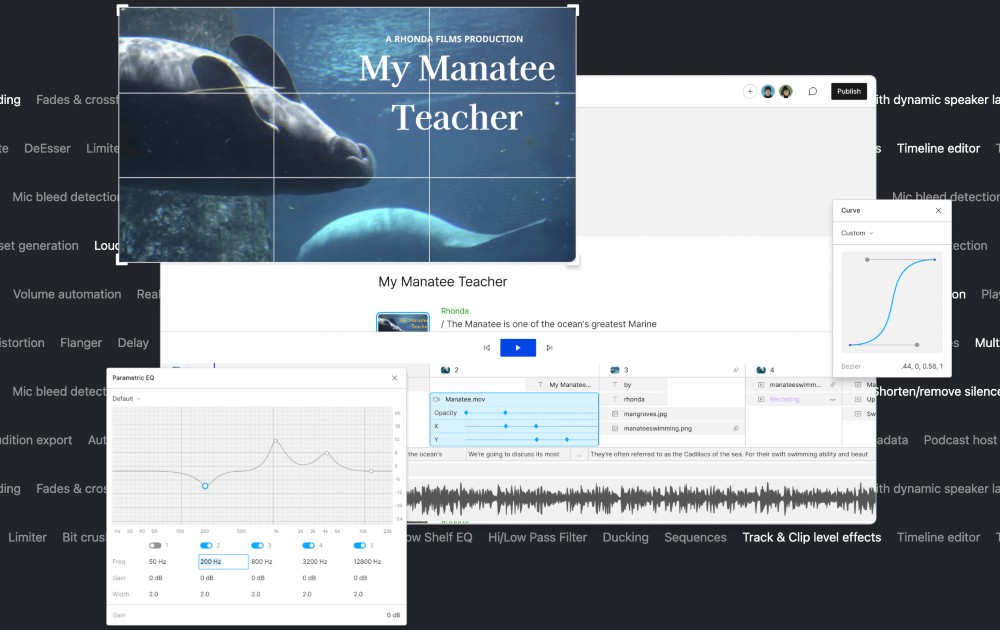 Descript video editing tools