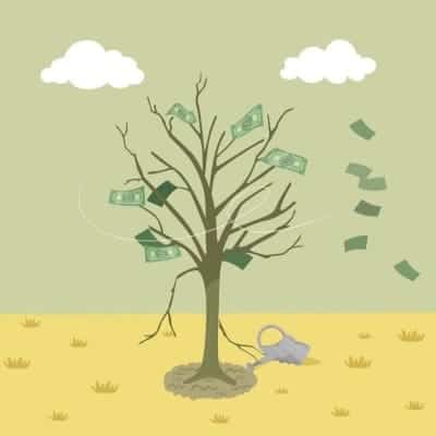 money tree can die with affiliate marketing for bloggers