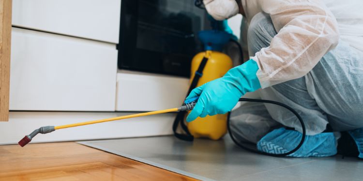 pest control technician spraying a home for bugs