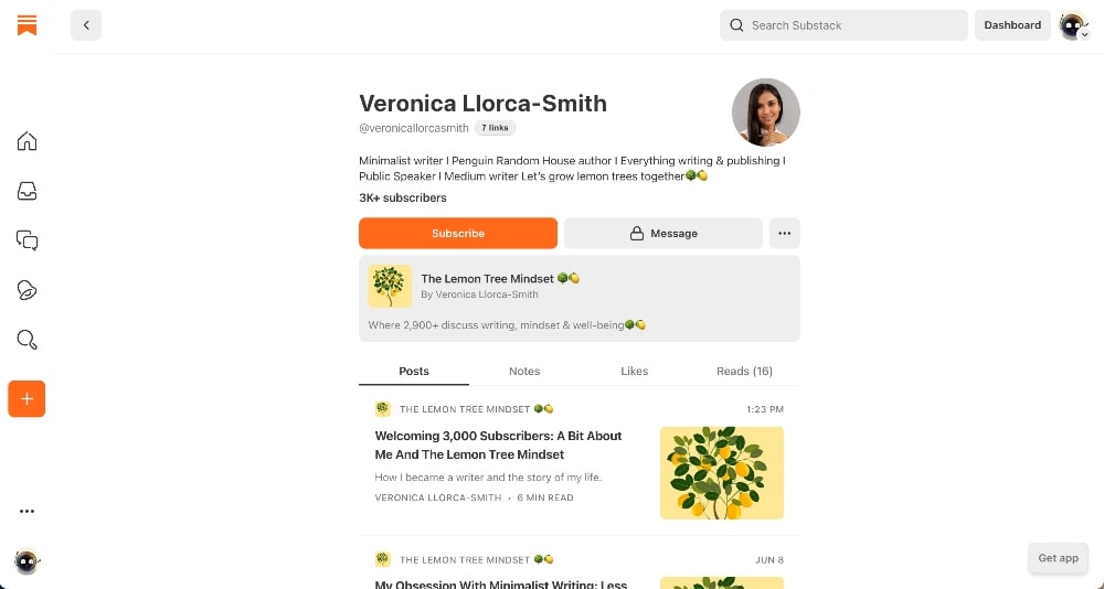 Substack profile example