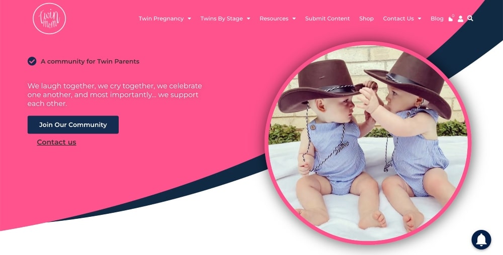 screenshot of Twin mom website