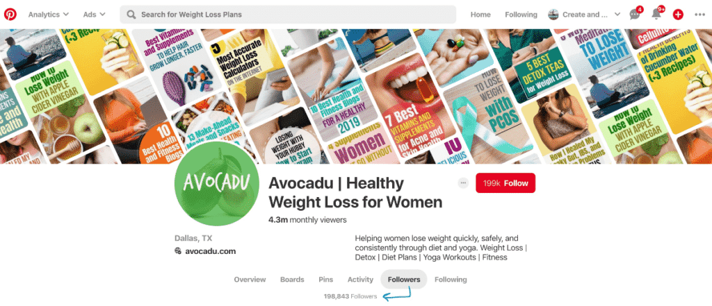 Avocadu Pinterest followers